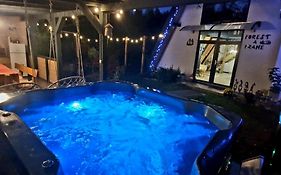 Porumbacu retreat-Cabană A-frame și Chalet cu jacuzzi pe malul râului la poalele munțiilor Făgăraș, Sibiu